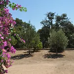 Vaddidulimu