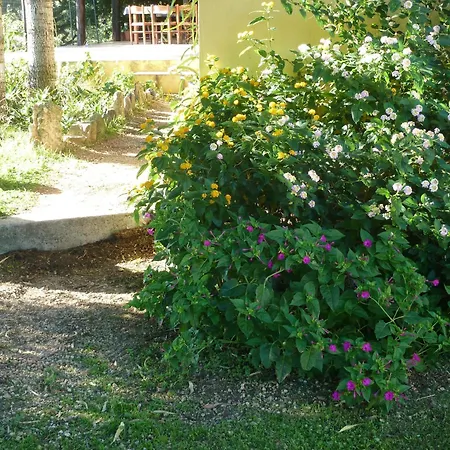 Bed & Breakfast Vaddidulimu *
