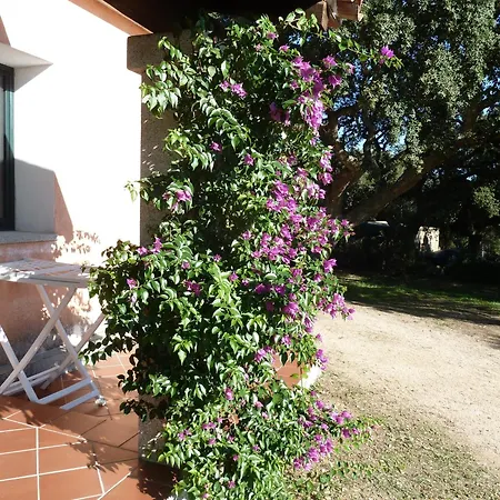 Bed & Breakfast Vaddidulimu