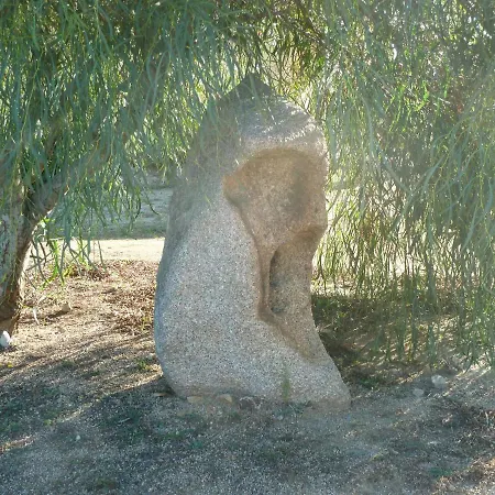 Vaddidulimu Panzió