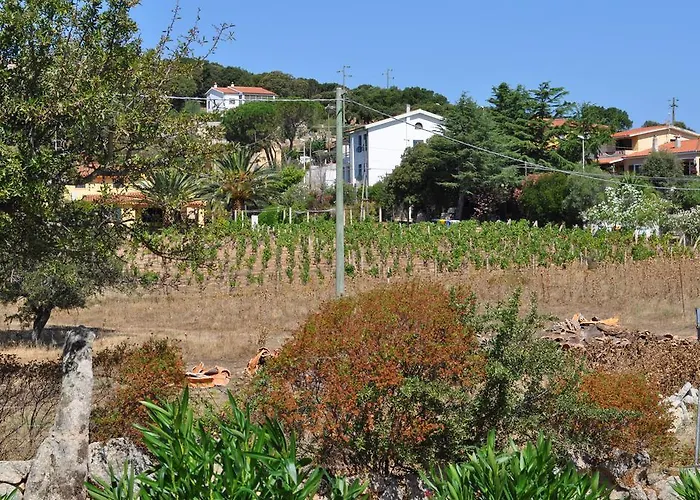 Bed & Breakfast Vaddidulimu