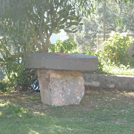 Vaddidulimu Luogosanto