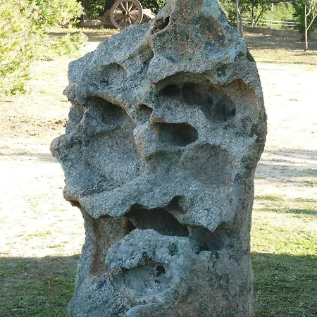 Bed and Breakfast Vaddidulimu