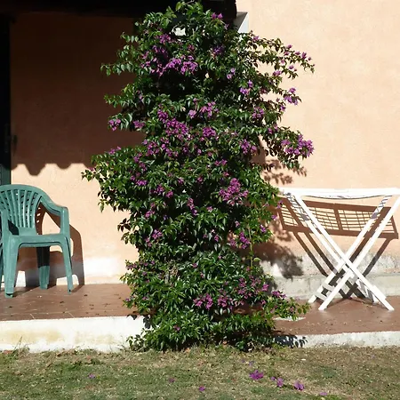 Bed and breakfast Vaddidulimu 3*
