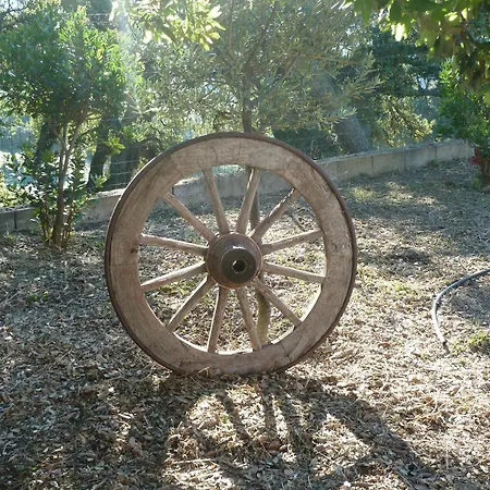 Vaddidulimu Luogosanto