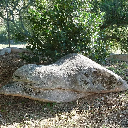 Bed and Breakfast Vaddidulimu 3*