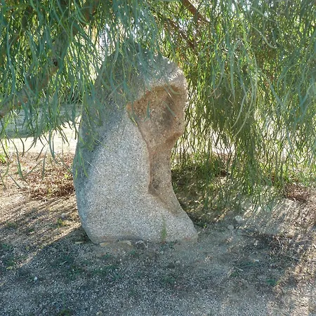 Bed and Breakfast Vaddidulimu 3*