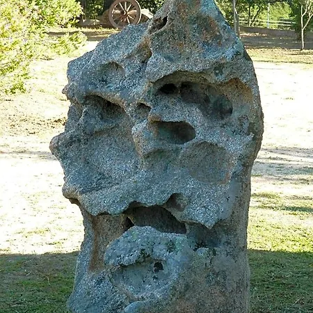 Vaddidulimu