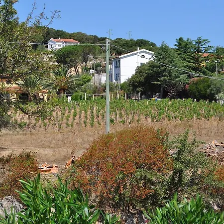 Bed and breakfast Vaddidulimu