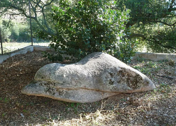 Frühstückspension Vaddidulimu 3*