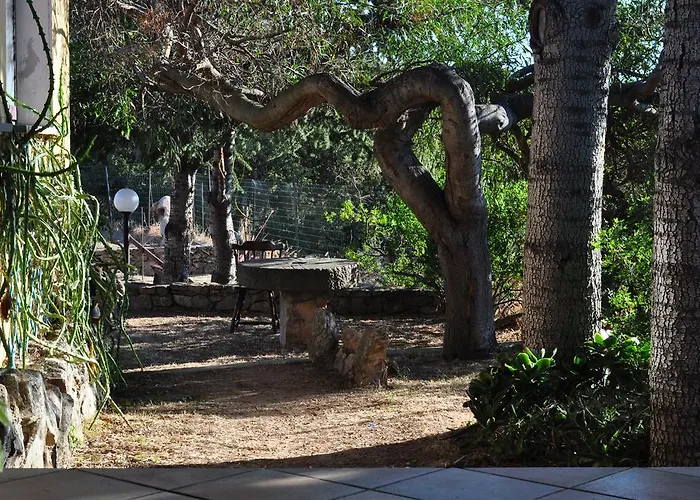 Frühstückspension Vaddidulimu Luogosanto